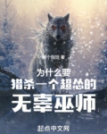 这破巫师不当也罢