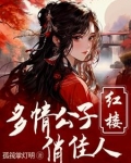红楼：重生贾环文武双全