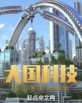 大国科技从山寨系统开始