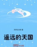 遥远的天国