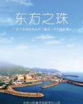 东方之珠：广东大亚湾核电站开工建设
