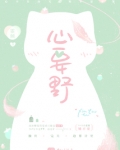 心要野