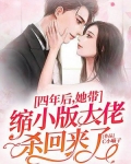 四年后，她带缩小版大佬杀回来了！