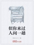似你来过人间一趟